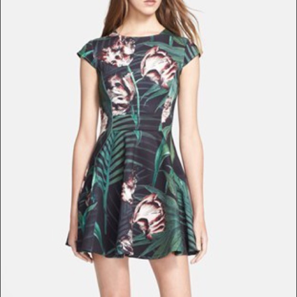 Ted Baker Neoprene Skater Dress